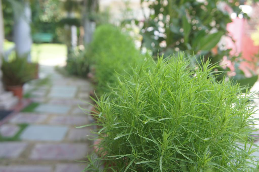 Sirohi House New Delhi Exterior photo